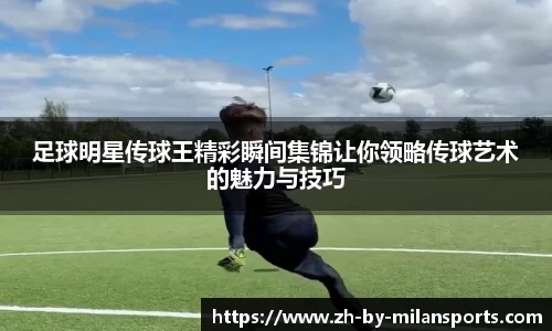 米兰体育官方网站